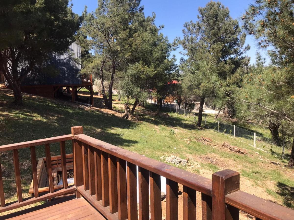 Panurlawoodenhouse Oezel Havuz& Sauna Mavi Dış mekan fotoğraf