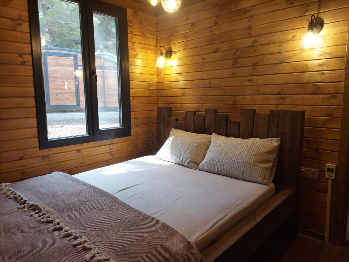 Panurlawoodenhouse Oezel Havuz& Sauna Mavi Dış mekan fotoğraf