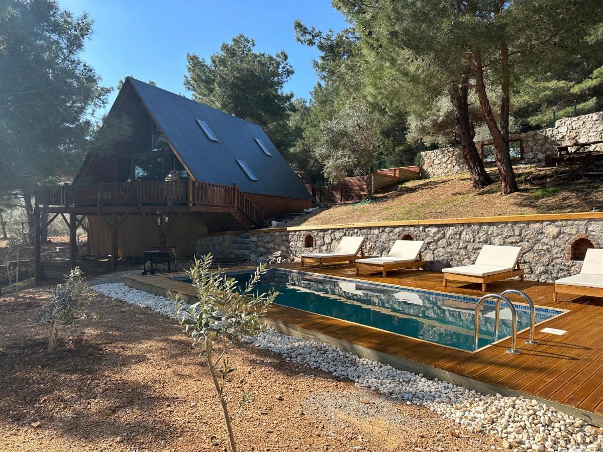 Panurlawoodenhouse Oezel Havuz& Sauna Mavi Dış mekan fotoğraf