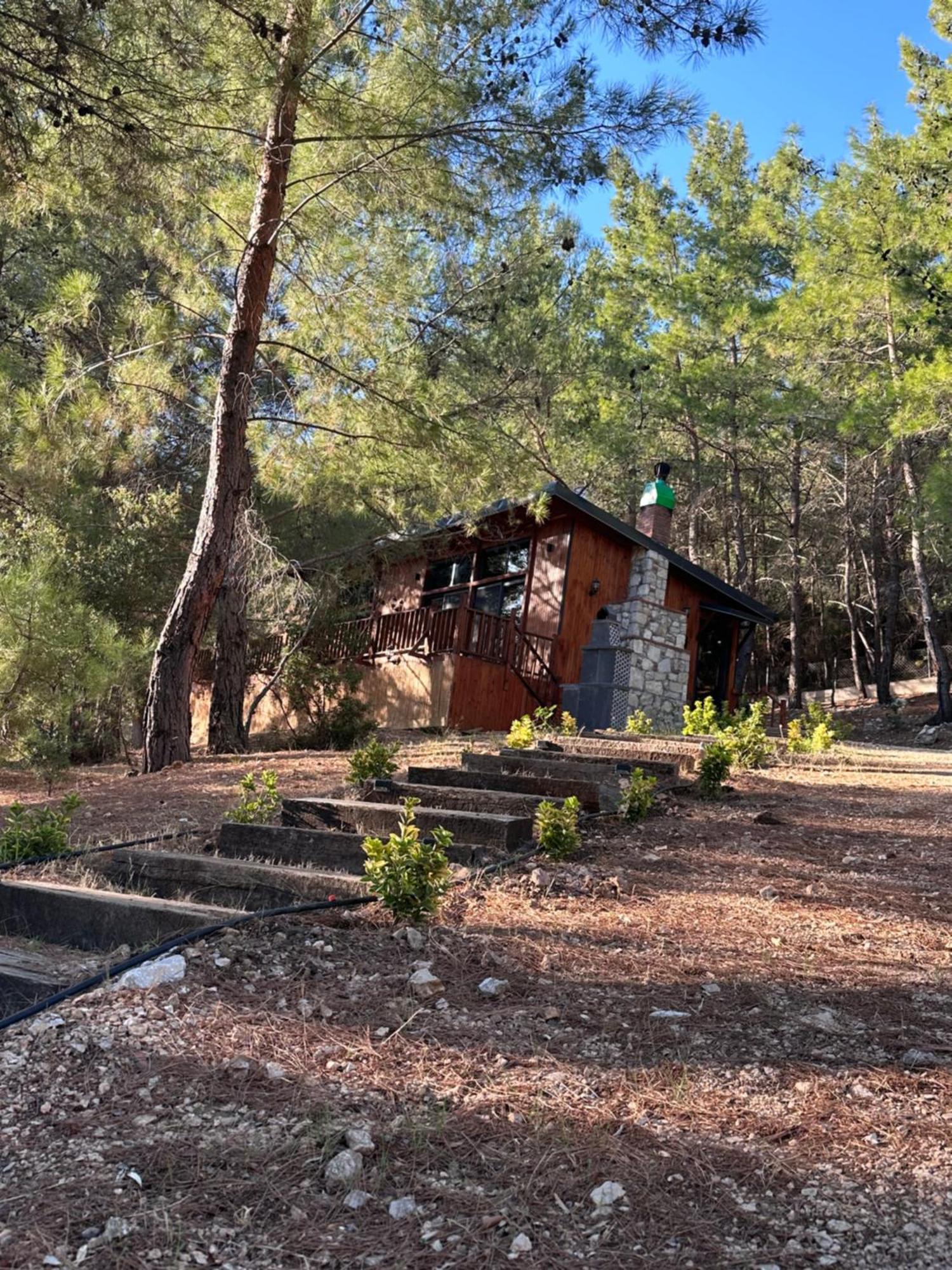 Panurlawoodenhouse Oezel Havuz& Sauna Mavi Dış mekan fotoğraf