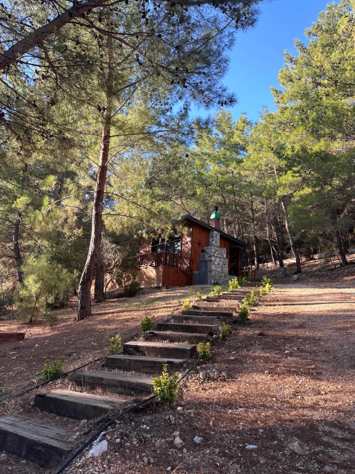 Panurlawoodenhouse Oezel Havuz& Sauna Mavi Dış mekan fotoğraf